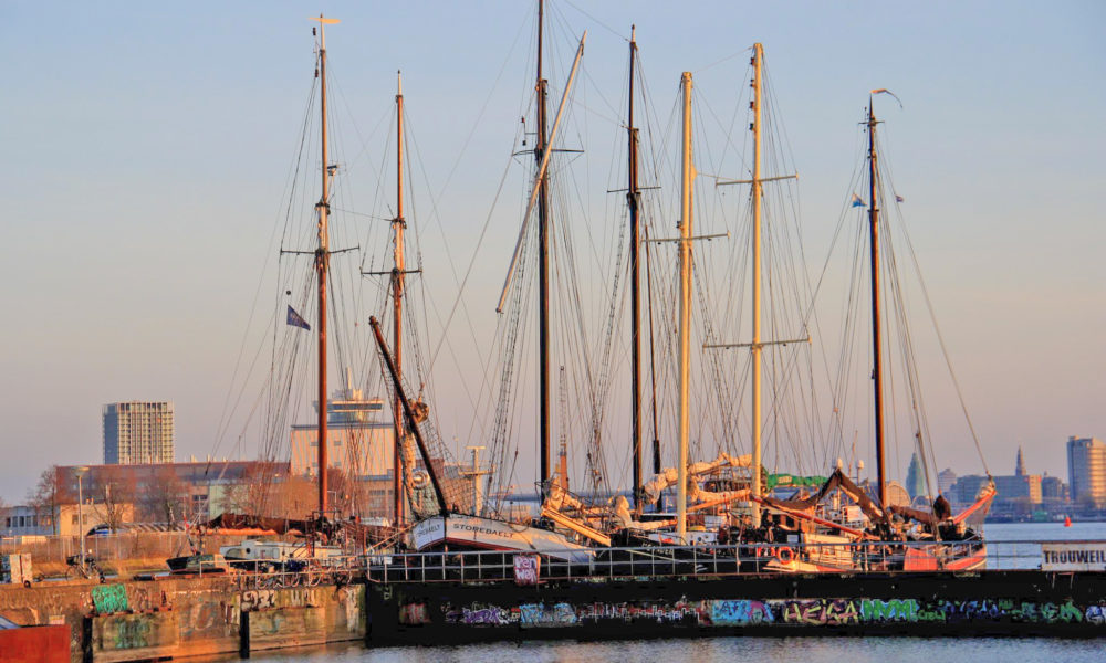 Hafen in der Abendsonne Amsterdam Noord Fahrradtour