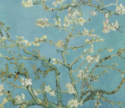 A blooming tree branch with white flowers against a blue background. A beautiful natural scene