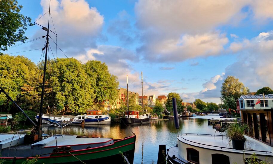 Houseboats moored on a canal in Amsterdam. The boats are surrounded by trees and buildings.