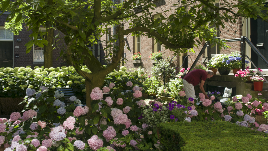 Romantisch: Begijnhof Amsterdam