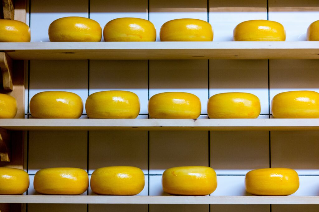 Käse Tasting in Amsterdam