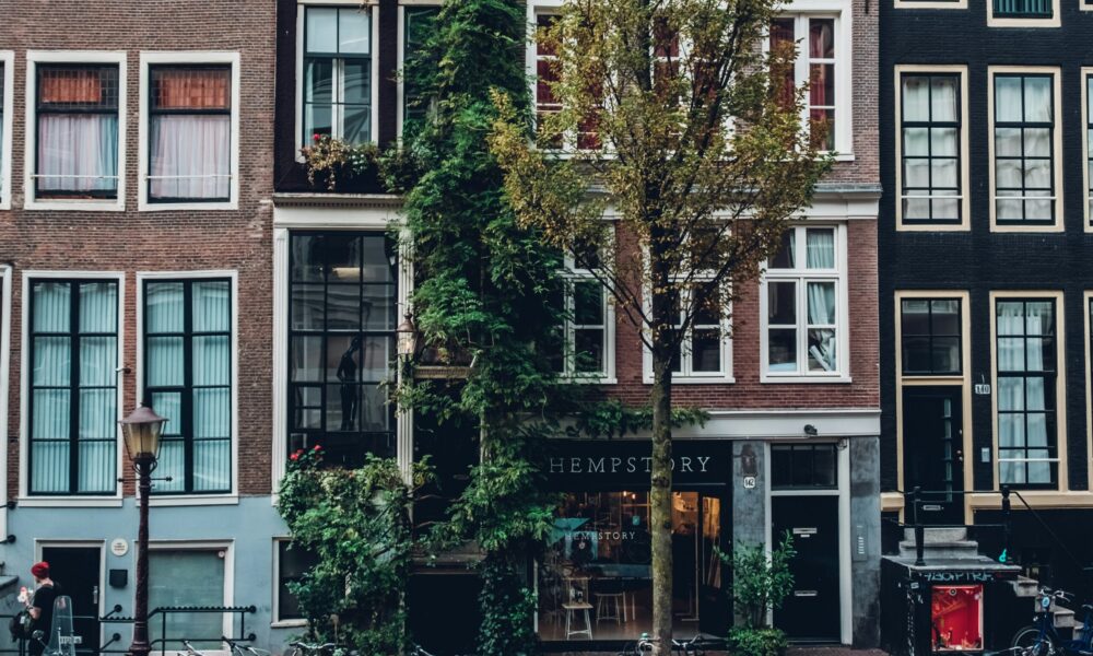 Bicycles parked along a street in Amsterdam. The buildings are old and traditional.