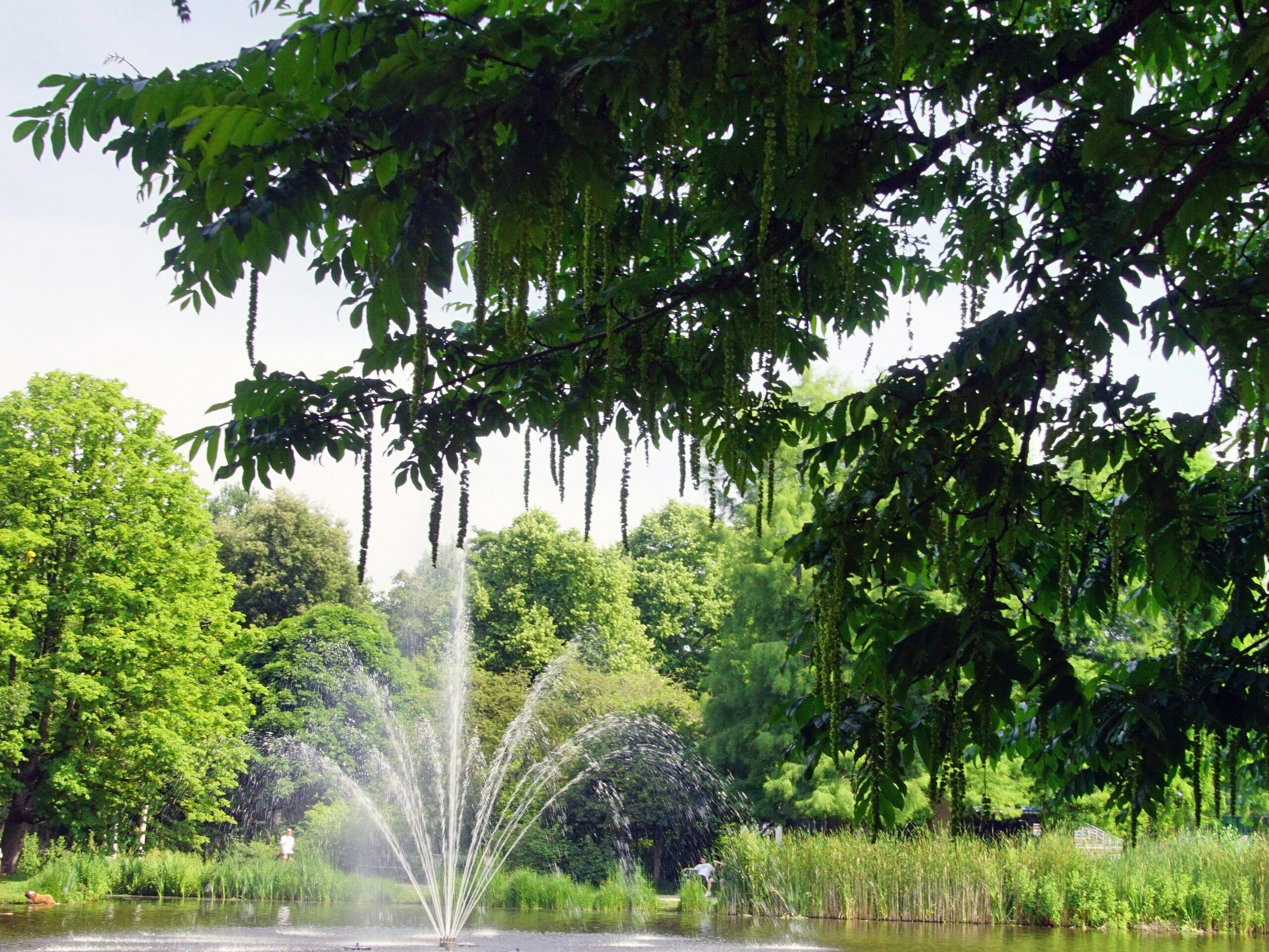 Romantisch: Spaziergang im Vondelpark