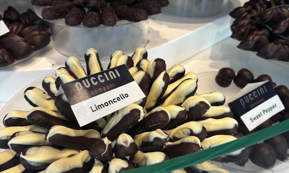 A variety of chocolate confections are on display. The chocolates are arranged by type.