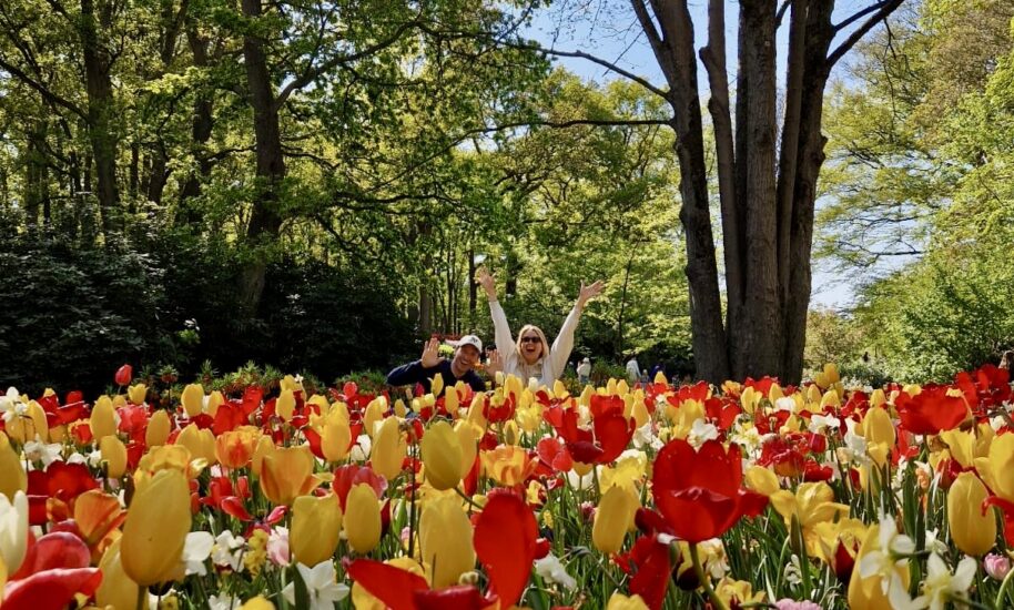 A beautiful garden filled with vibrant tulips. Enjoy a stroll through the colourful flowers.